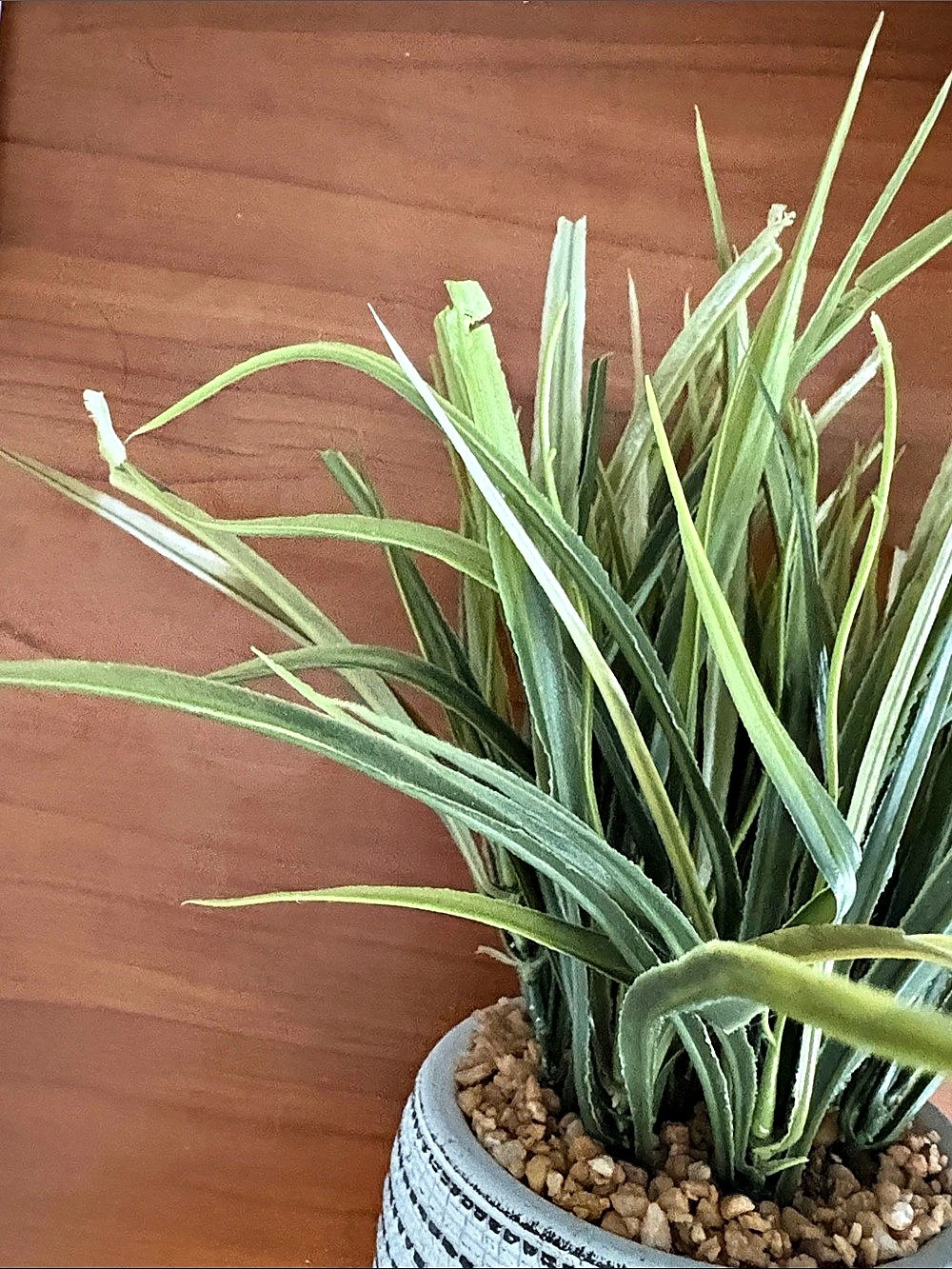 Green & White Potted Faux Plant Decor - Picture 4 of 7